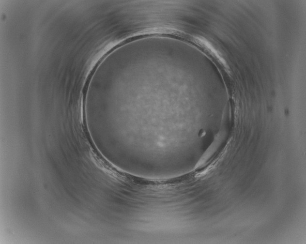 X0000075831276200609221631