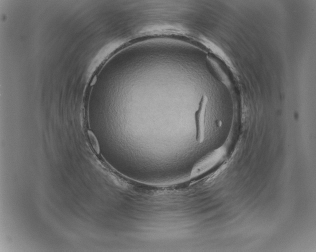 X0000075831277200609221631