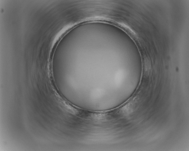 X0000075831278200609221631