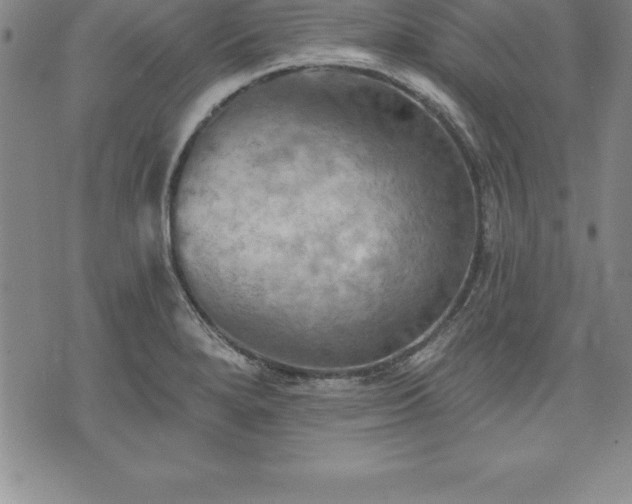 X0000075831280200609221631