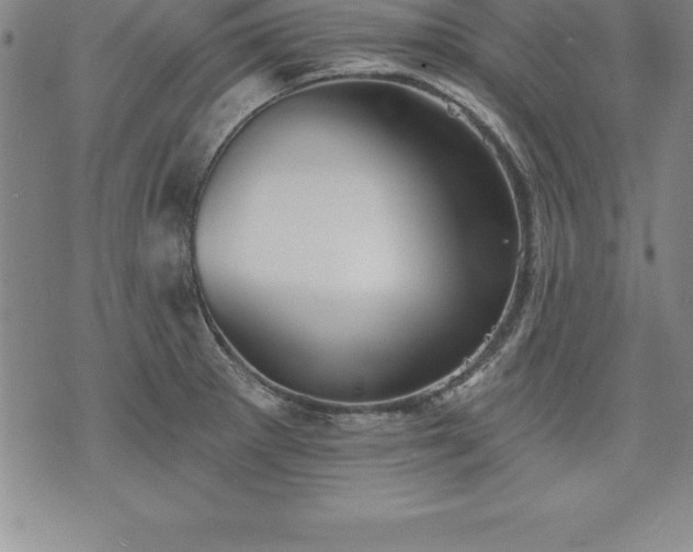 X0000075831281200609221631