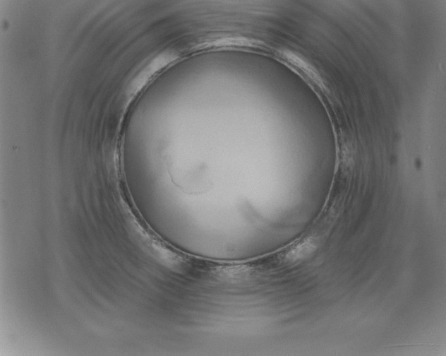 X0000075831282200609221631