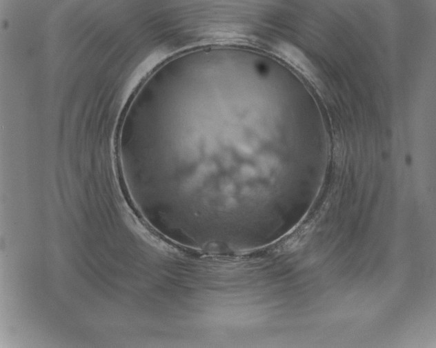 X0000075831283200609221631