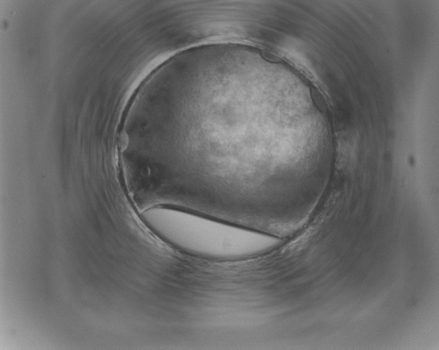 X0000075831284200609221631