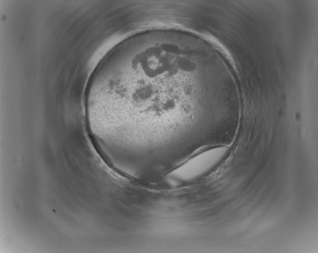 X0000075831287200609221630