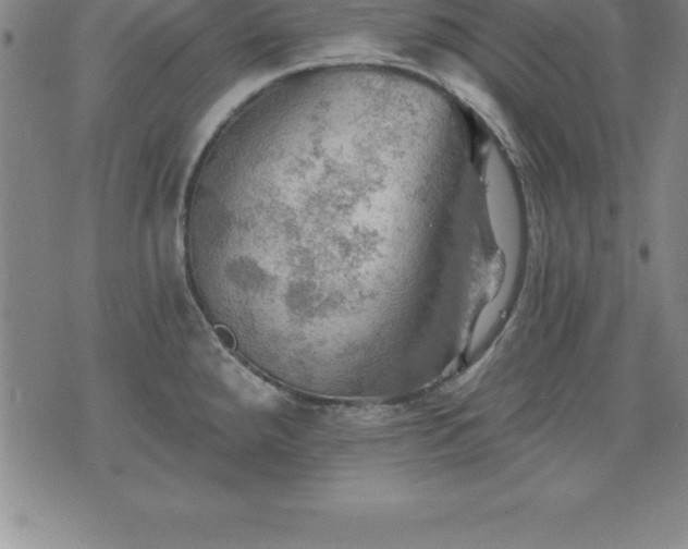 X0000075831288200609221630