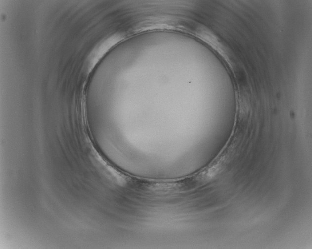 X0000075831290200609221630