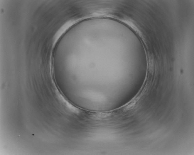 X0000075831294200609221630