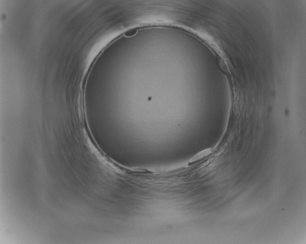 X0000075831295200609221630