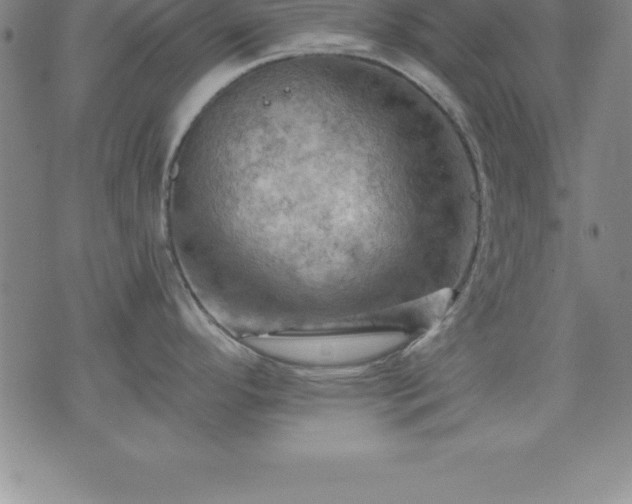 X0000075831296200609221630