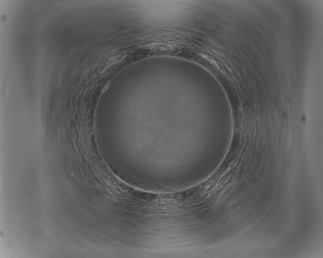 X0000075831297200609221630