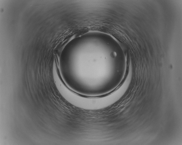 X0000075831298200609221630