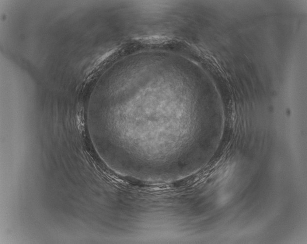 X0000075831301200609221630