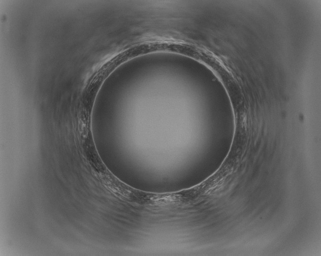 X0000075831303200609221630