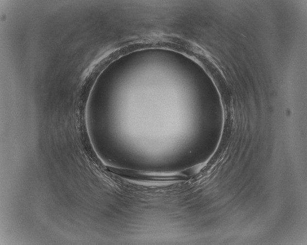 X0000075831304200609221630