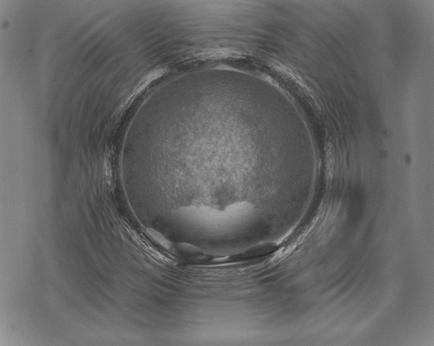 X0000075831305200609221630