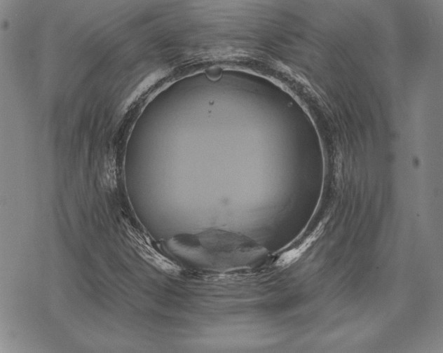 X0000075831306200609221630