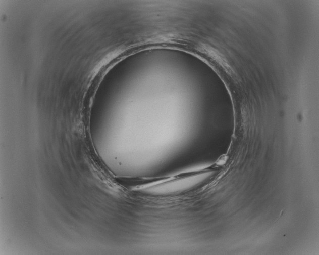 X0000075831308200609221630