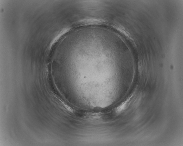 X0000075831309200609221630