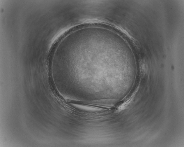 X0000075831311200609221630