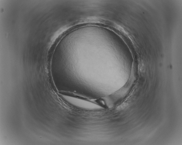 X0000075831312200609221630