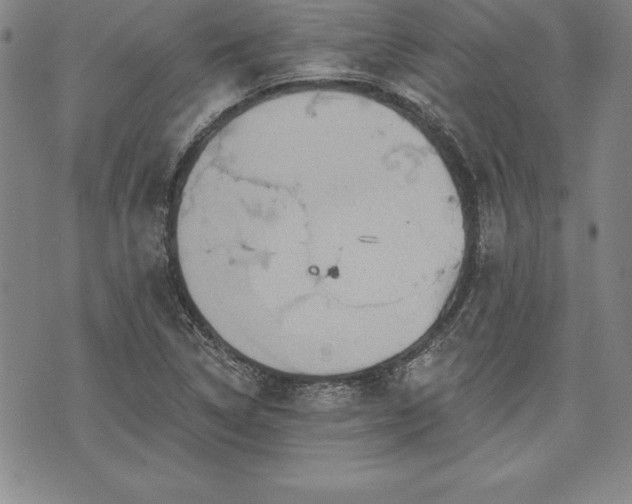 X0000075831314200609221630