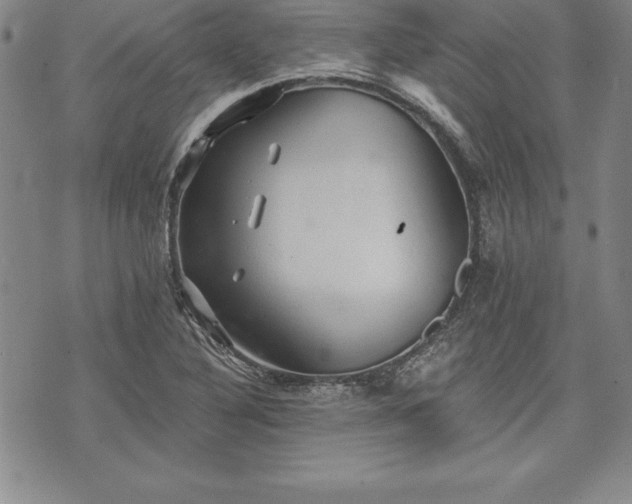 X0000075831316200609221630