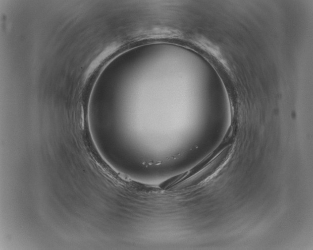 X0000075831317200609221630