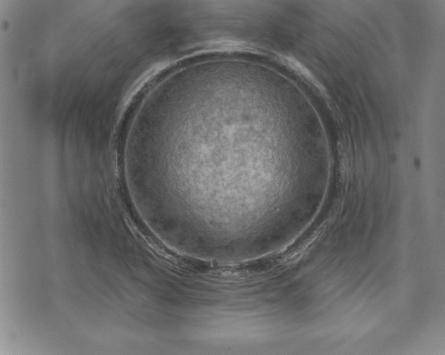 X0000075831318200609221630