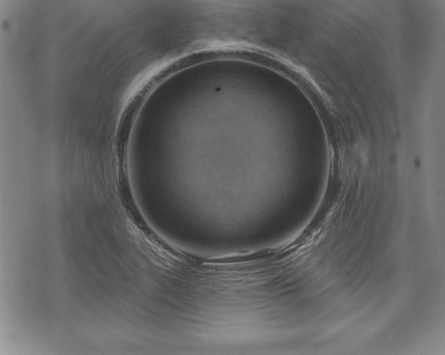 X0000075831319200609221630