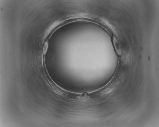 X0000075831320200609221630