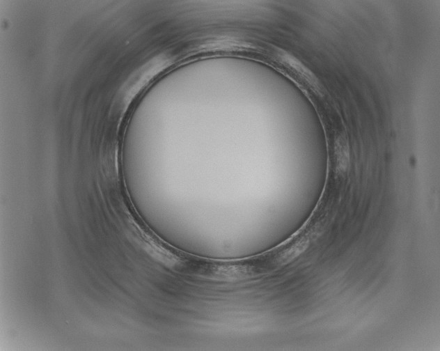 X0000075831322200609221630