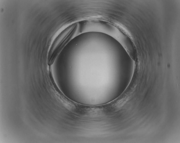 X0000075831324200609221630