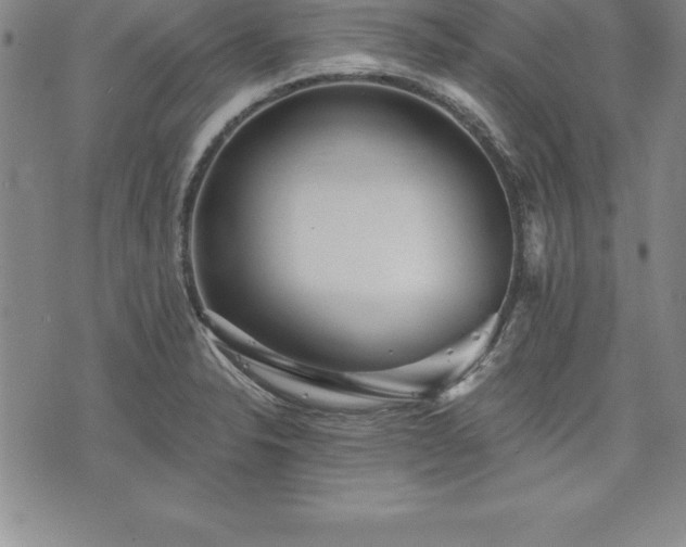 X0000075831326200609221630