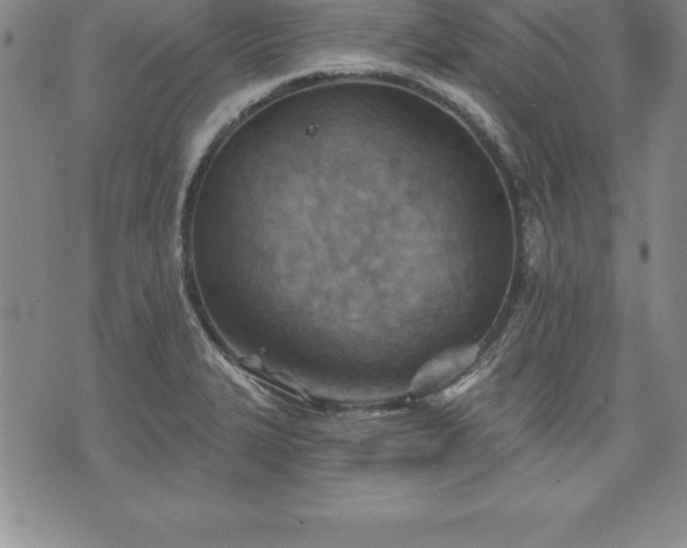 X0000075831327200609221630