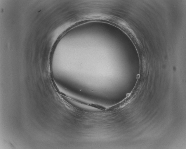 X0000075831328200609221630