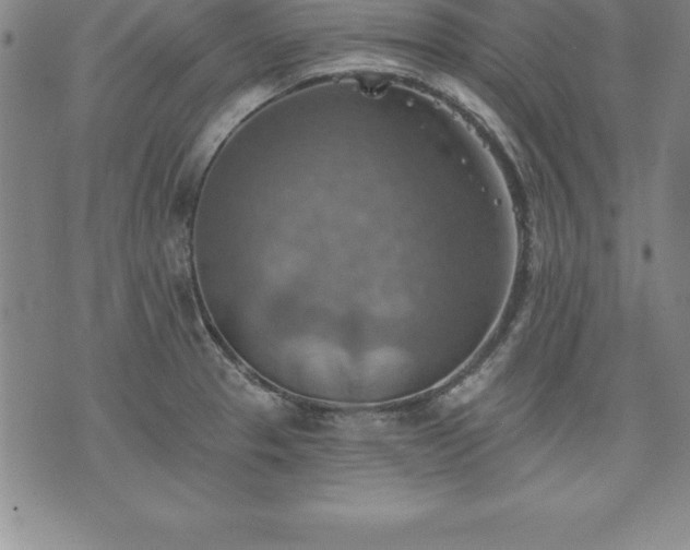 X0000075831329200609221630