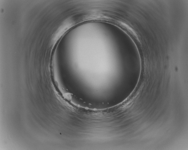 X0000075831330200609221630