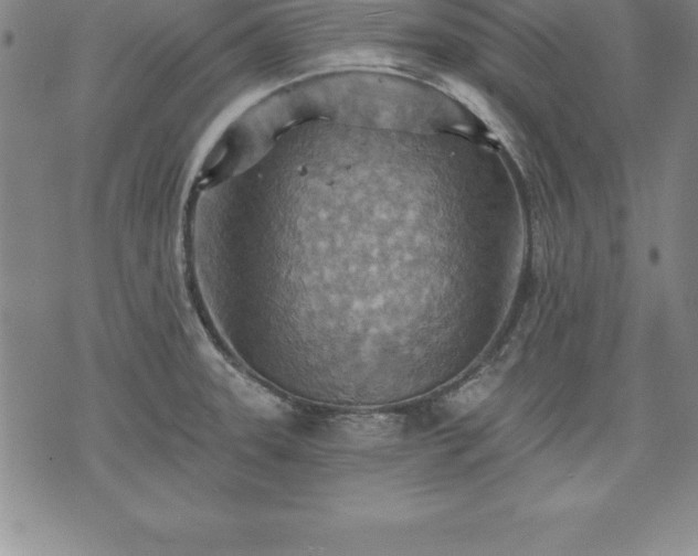 X0000075831331200609221630