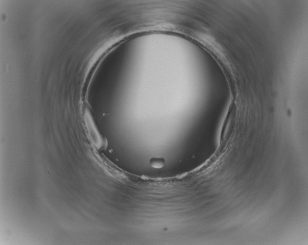 X0000075831332200609221630