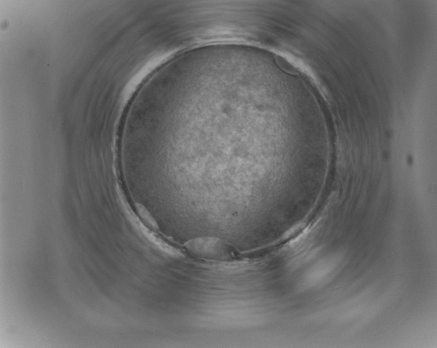 X0000075831333200609221630