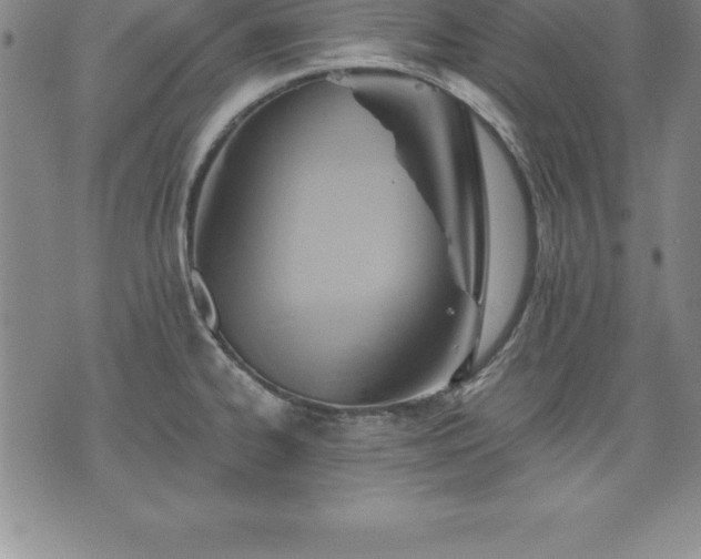 X0000075831334200609221630