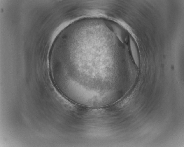 X0000075831335200609221630