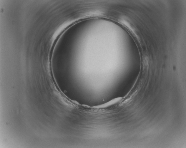 X0000075831336200609221630