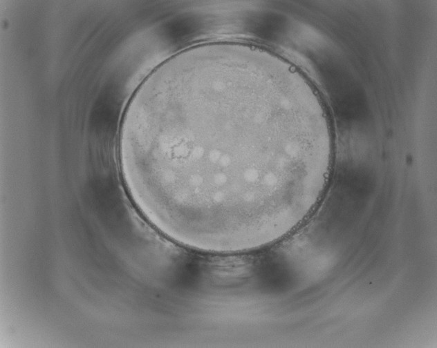 X0000075831338200609221630