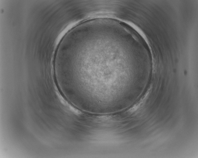 X0000075831341200609221630