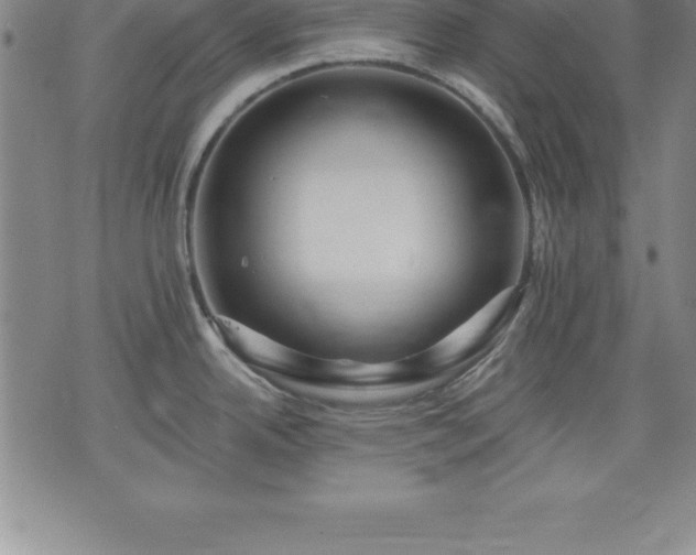 X0000075831342200609221630