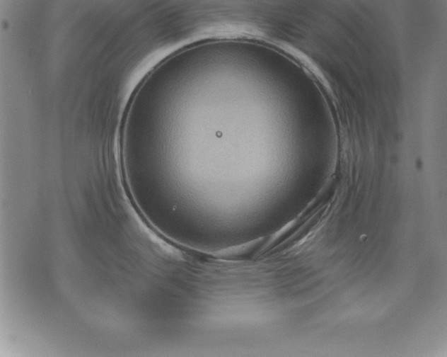 X0000075831343200609221630