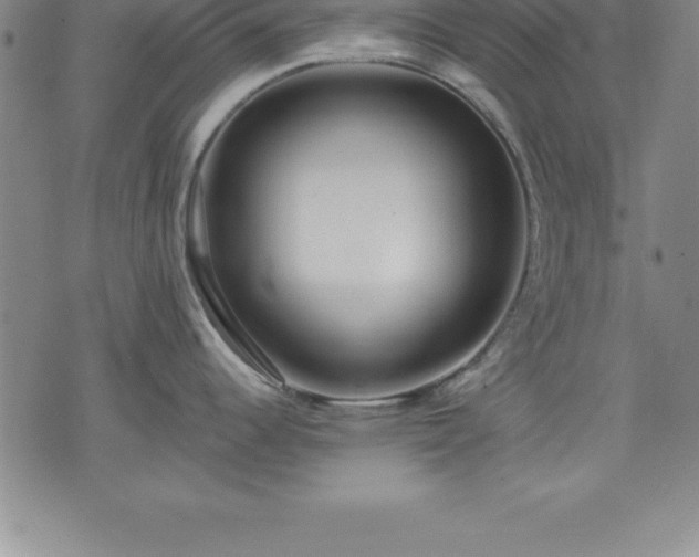 X0000075831344200609221630