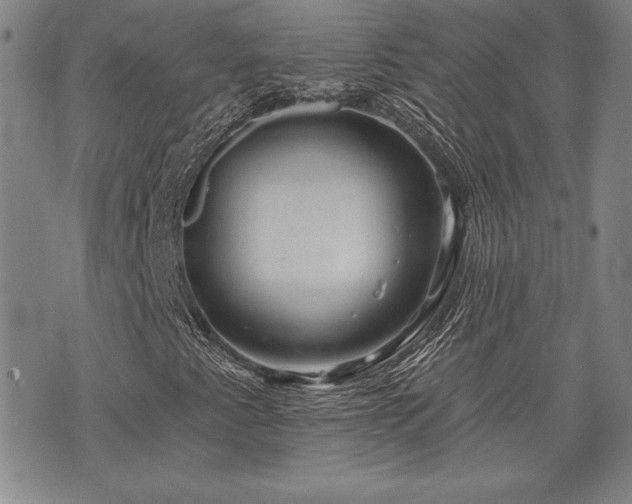 X0000075831345200609221630